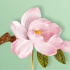 Vintage Creative Clothes Hook Wall-Mounted Non-Slip Towel Hanger Resin Rose Flower Design Key Hook for Hallway 5