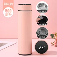 Temperature Display Insulated Vacuum Flask Replaceable Battery Thermos Cup Double Wall Steel Water Bottle Sports Thermos Bottle 6