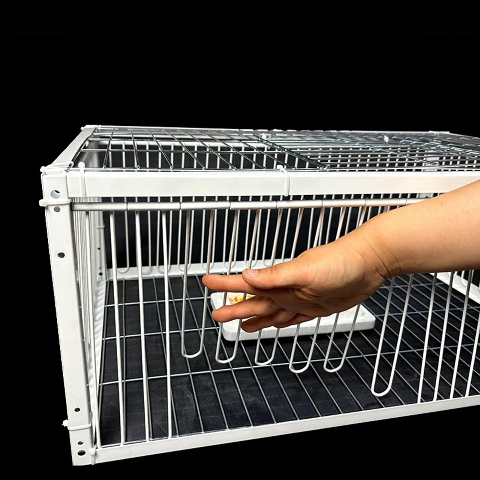 Automatic Pigeon Cage Thickened EscapeProof Pigeon Coop Chicken Cage for Racing Pigeons Farms Garages Gardens Bird Supplies