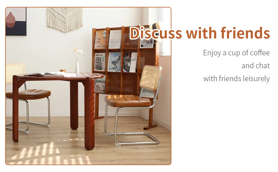 morden leather rattan side accent chairs dining chair set of 2 with chrome legs 