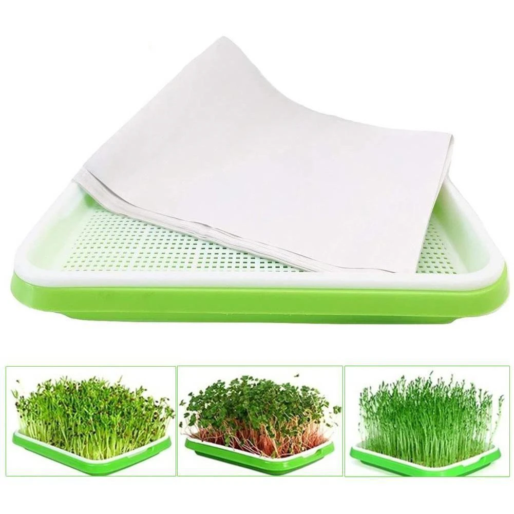 Double Layer Seedling Tray Bean Pea Wheatgrass Seedling Sprout Plate Growing Planting Dishes Nursery Pots Germination Tray ceramic plant pots