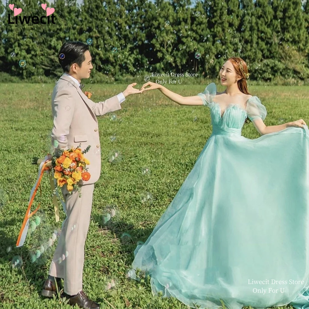 

Liwecit Organza A Line Prom Evening Dresses Korea Lady Puff Short Sleeves Evening Gowns Garden Wedding Photoshoot