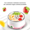 1L Greek Yogurt Maker Machine with Stainless Steel Container Yogurt Machine Electric Yogurt Maker for Homemade Yogurt Natto 6
