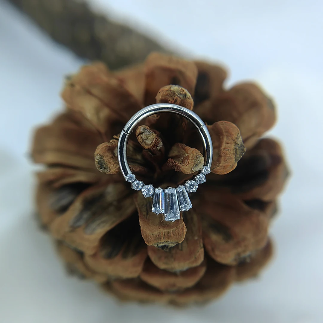 ASTM F136 Titanium Hinged Segment Ring T Shape Zirconia Cluster Hinged Segment Rings 16G Septum Clicker Body Jewelry
