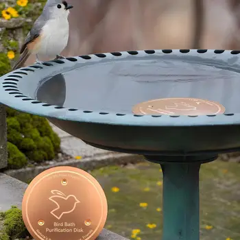 Copper Bird Bath Disk 3