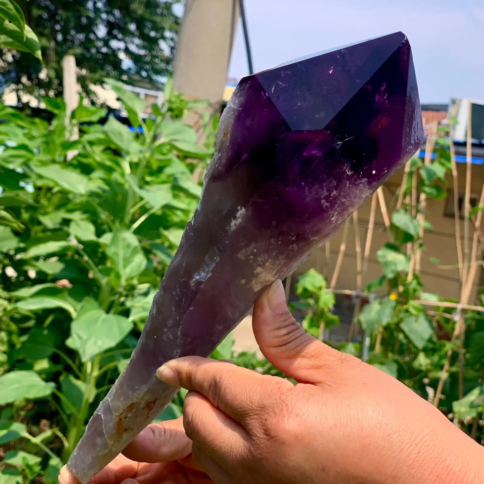Magical Natural Uruguayan Amethyst Backbone Purple Quartz Crystal Scepter Treatment Home Demagnetization Decorative Energy Gem 4