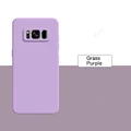 Grass Purple