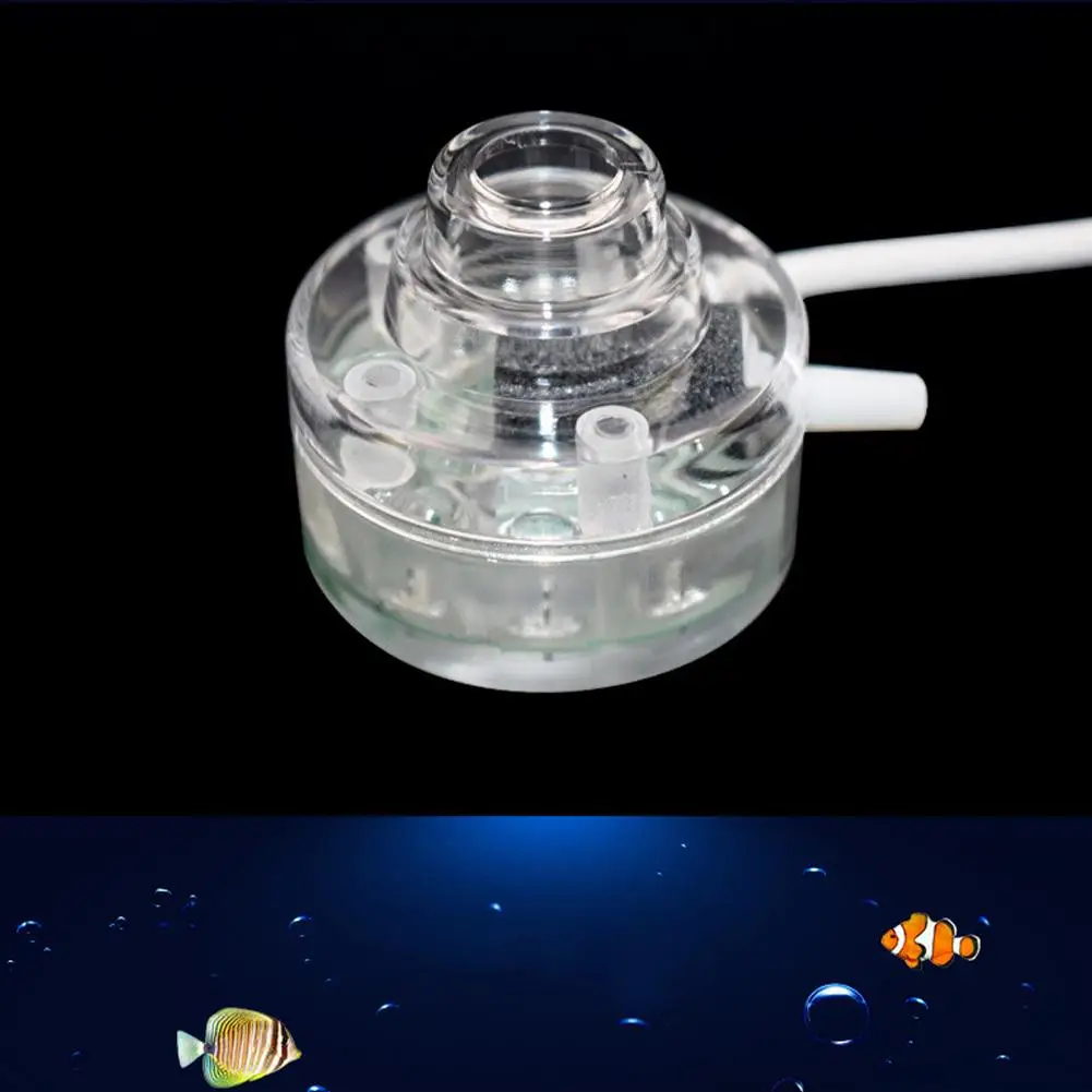 äο Led   ׶̼ ÷    ũ    ׼