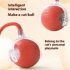 Cat Interactive Ball Toys Automatic Rolling Ball Faux Tail Rechargeable Smart Pet Electronic Toy Dog Cat Training Imitate Mouse 3