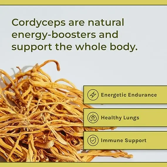 Cordyceps Sinensis Capsules-Mushroom Extract, 60 Vegetarian Capsules