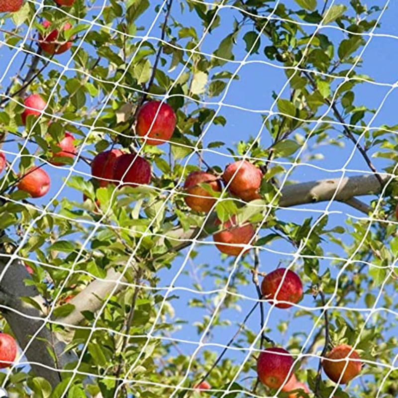 Anti Bird Mesh Netting Garden Plant Fruit Tree Crop Protection Preventing Pond 