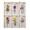 20Sheets Per Pack PET material stickers flowers handmade collage handbook material Notebooks Scrapbook cut 169*88mm 2