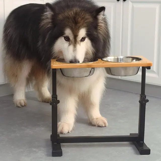 Wooden Elevated Dog Bowl Adjustable Pet Feeding Stand for Dog Cat Home Pet Shop Feeder 2