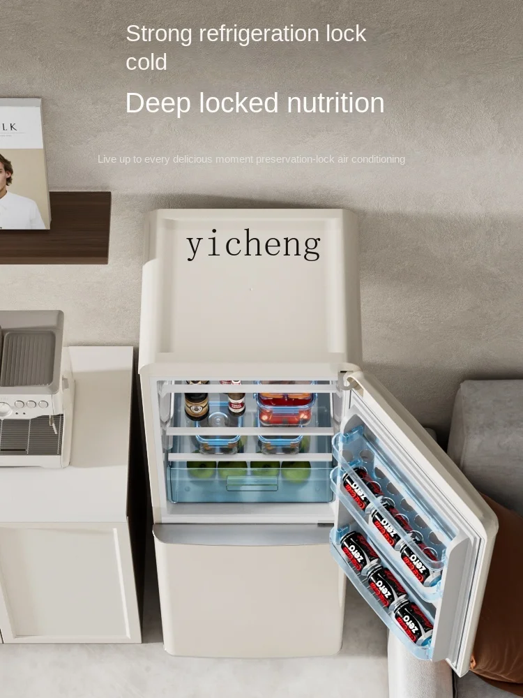 Рисунок 5 - Холодильник большого объема Tqh в стиле ретро