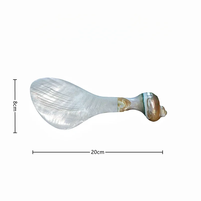 Handmade Shell Spoon Southeast Asian Conch Spoon Creative Rice Home Restaurant Tableware s Special counter