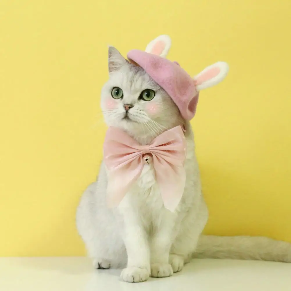

Premium Pet Collar Asphyxiation Prevention Cat Collar Comfortable Princess Style Cat Collar Dress Up