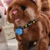 Cute Electronic Plush Cat Toy Can Walking Meowing Wagging Tail Stuffed Cat Doll Child Interactive Toys For Birthday Gift 4