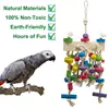 Parrot Bite Toy Wooden Bird Supplies Bird Cage Accessories Colored Parrot Toy Bird Toy 3