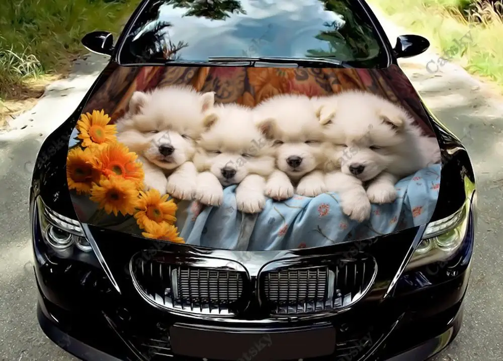 

Виниловые стикеры Havanese для детского автомобильного капота, виниловая пленка для защиты крышки двигателя, наклейки на автомобильные аксессуары
