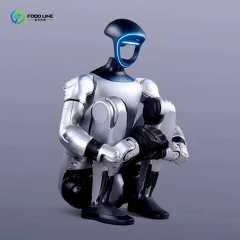 Robot Umanoide Bionico Intelligente Personalizzato Multiuso per Insegnamento, Ricerca, Spettacoli e Intrattenimento