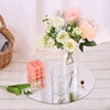 Round Mirror Glass Tray Diy Acrylic Circle Candle Plates Wedding Party Table Centerpiece Decoration Large Capacity Platter Tiles 3