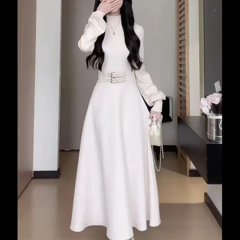 Temperamento Chic Autunno Inverno Nuovi abiti Donna Dolcevita solido Fusciacche Corsetto Stile Hepburn Moda Abiti lunghi con maniche a lancio 5