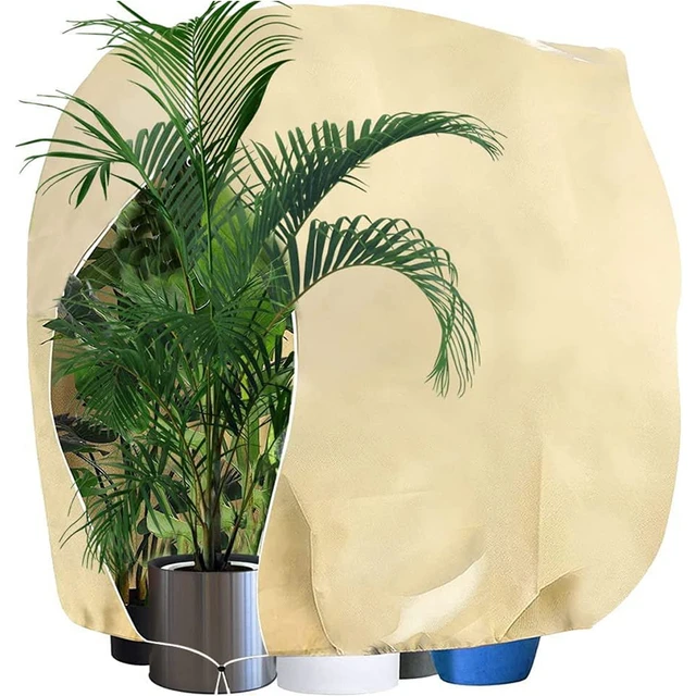 Juste de protection pour plante arbuste d'hiver, tissu anti-gel pour petit  arbre, plante en pot de jardin, outil froid, chaud, gril, proximité, sac à