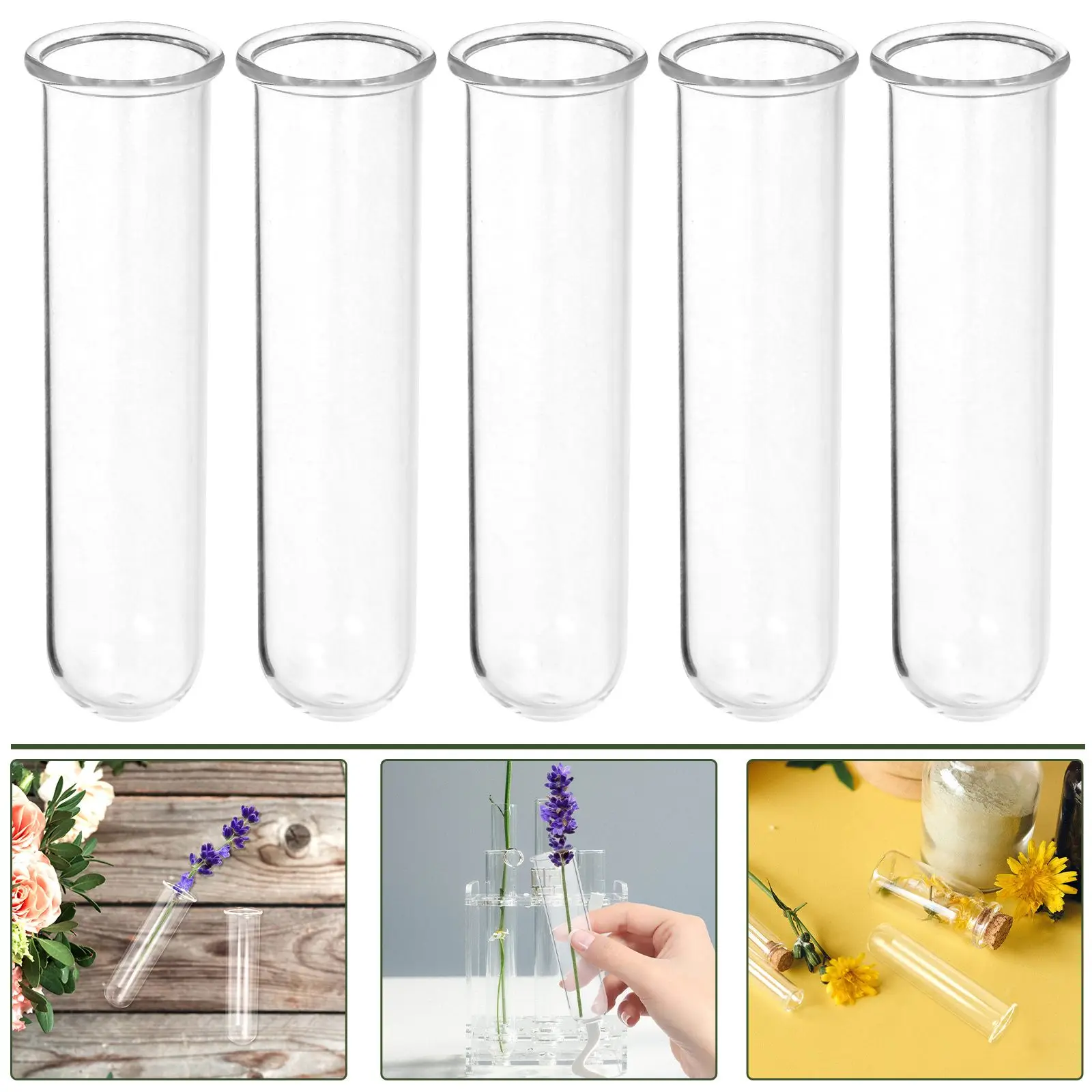 5 Pcs Flower Tubes Test Vase Vases Glass Planters Bottle for Flowers Propagation Office 6
