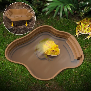 Turtle bathing basin, and frog bathing 1