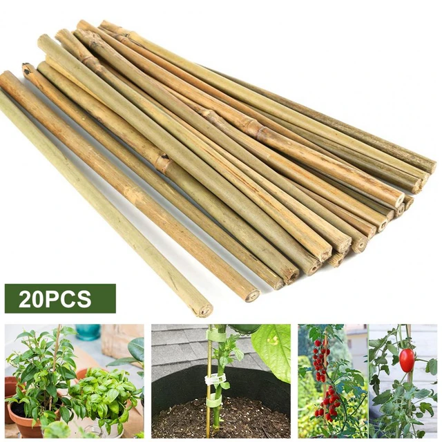 16 Inch Bamboo Sticks Decor For Plants Bamboo Garden Stakes With 100 Pcs  Twist T
