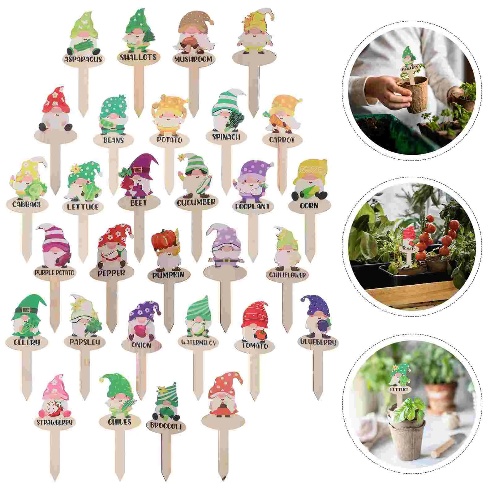 

30 Pcs Dwarf Plant Tags Marker Markers Garden Label Stakes Wooden Labels Boxwood Gift for Lovers
