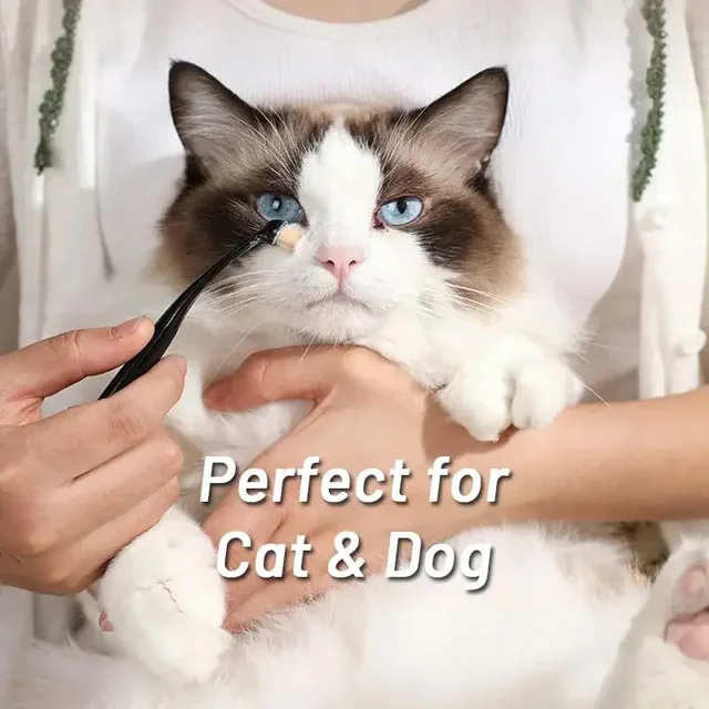 1-20PCS Dog Cat Tear Stain Remover Brush Soft Bristle Eye Cleaning Tool with Powder Applicator for Pet Grooming Hygiene Care 2
