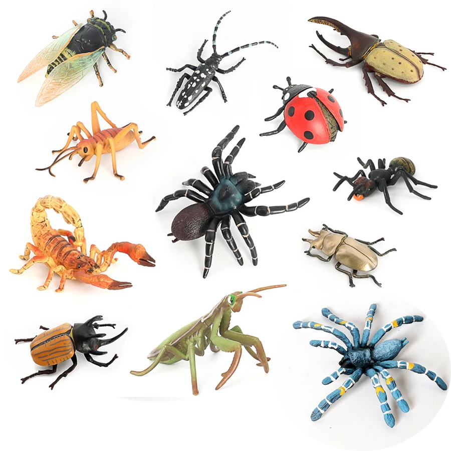 Realistic Insect Figurine Set - Educational Toy Collection