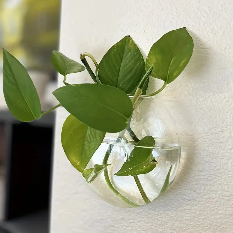 Wall-Mounted Glass Plant Terrarium 5