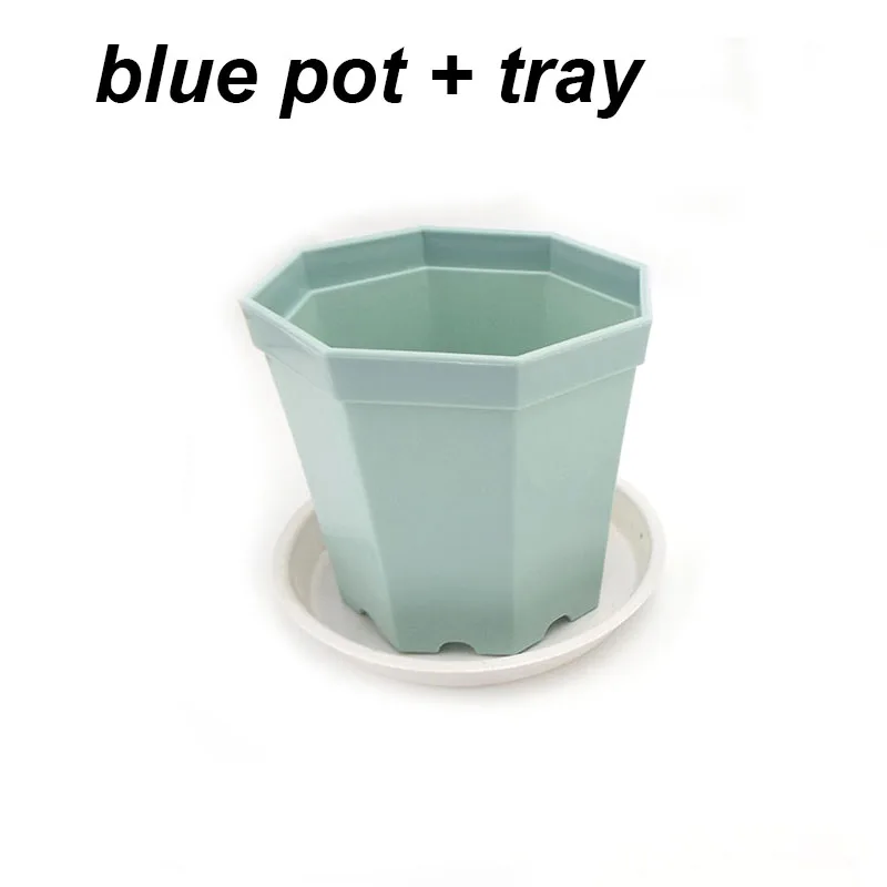 blue pot and tray