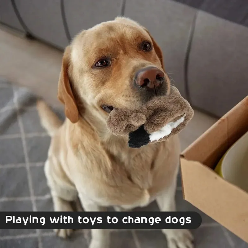 Plush Sounding Animal Dog Toy 5