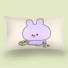 Asamimichaan Asleep Cute Asamimi Square Pillow Covers Cartoon Sofa Decorative Home Double-sided Printing Short Plush Cushion 6