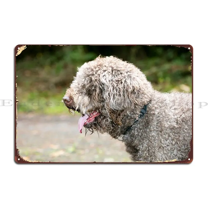 Lagotto Romagnolo Macro Metal Plaque Cinema Home Decoration Print Cinema Tin Sign Poster