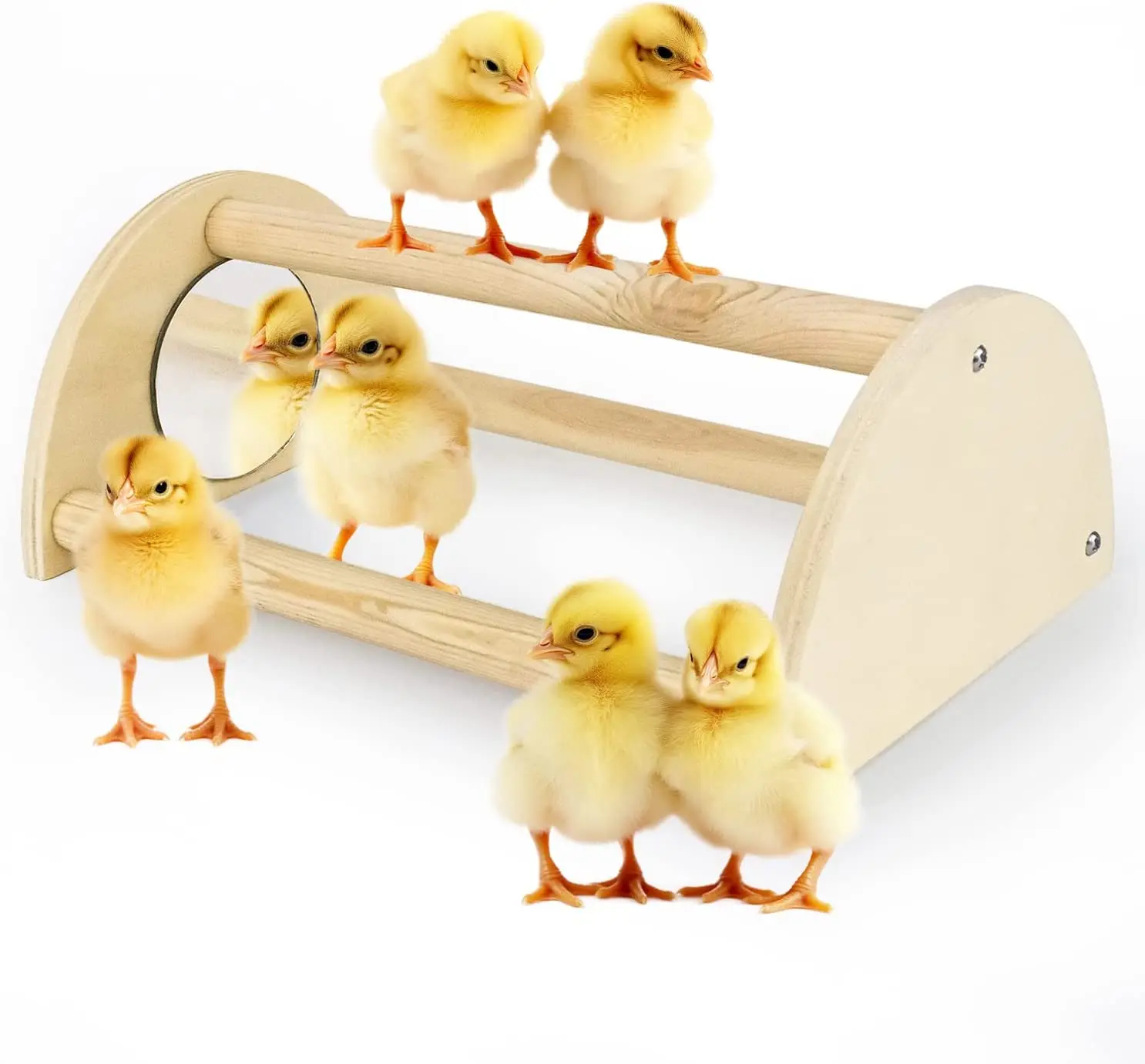 Chicken Perch with Mirror, Jungle Gym Roosting Bar for Birds and Baby