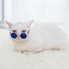 Cat Sunglasses Summer Outdoor Puppy UV Protection Sunglasses Dolls Sun Glasses Small Dog Cosplay Photo Props Cute Pet Sunglasses 4