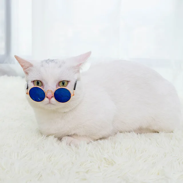 Cat Sunglasses Summer Outdoor Puppy UV Protection Sunglasses Dolls Sun Glasses Small Dog Cosplay Photo Props Cute Pet Sunglasses 4