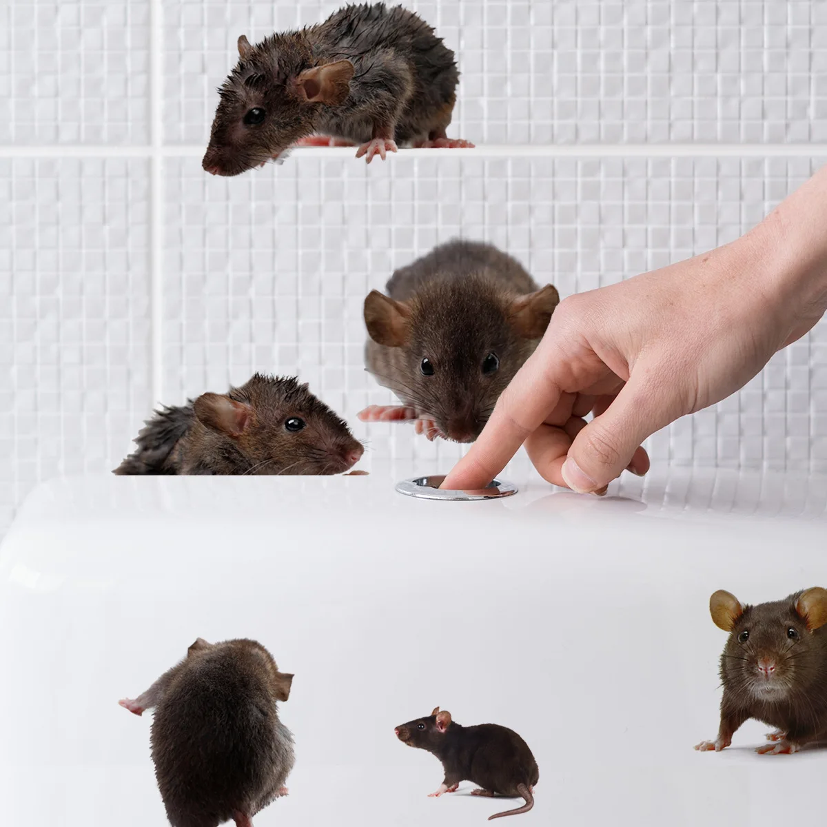 Black Scared Rat Mouse Funny Toilet Stickers Bathroom Decoration Decal 3D Cartoon Mouse Wall Sticker