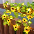 6-Sun flower