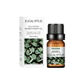 Oil-eucalypt