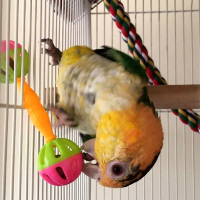 Parrot Toy 2/1pcs Creative Rattle Bite Resistant Bird Toy Double-head Bell Ball Cage Parrot Training Pet Accessories Игрушки parrot toy bird toy