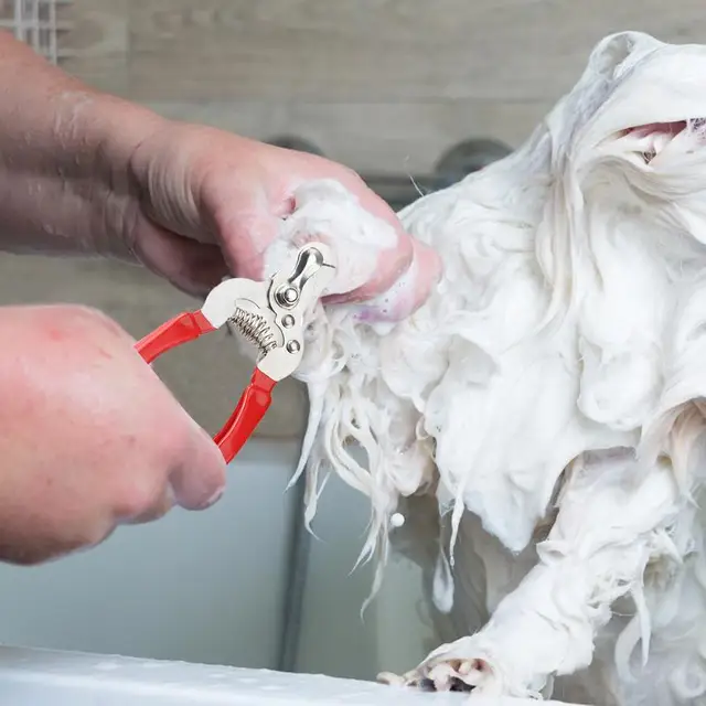 Nail Clippers For Dogs Safe Puppy Nail Clippers Dog Nail Cutter Stainless Steel Cat Nail Trimmer Dog Nail File Pet supplies 2