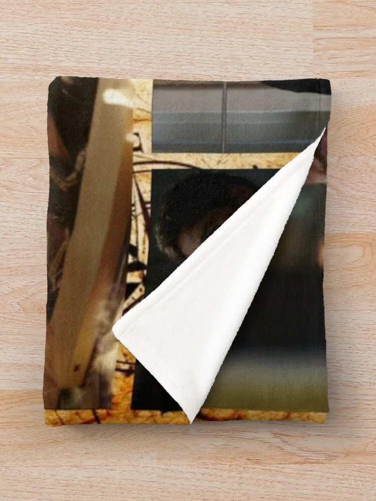 ĸƾ ų���� ǫ���� ��� ���ڱ� ���� ���ſ� ��� ������, ���� ���� 39