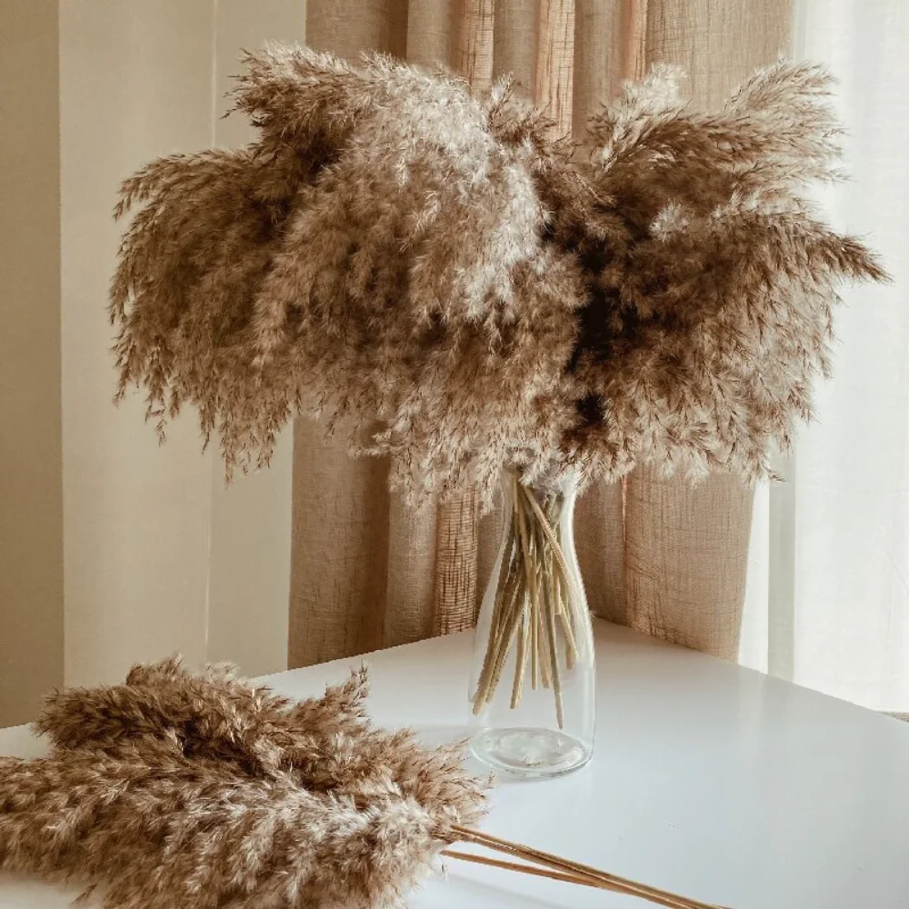 

10pcs Natural Pampas Grass Reed Dried Flowers Bouque Gift Artificial Flowers Boho Home Decor Christmas Party Wedding Decoration