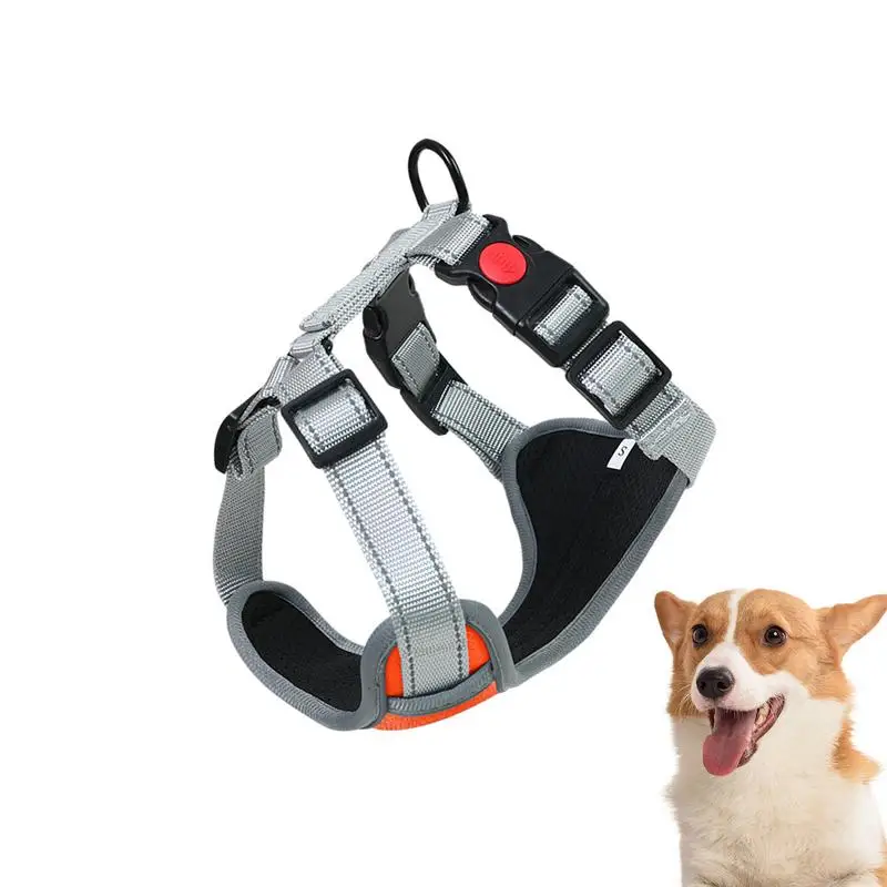 Pettorina Per Cani Di Piccola Taglia Pettorina Per Animali Domestici Traspirante Senza Trazione Con 2 Fibbie Per Cinturini Pettorina Imbottita Regolab