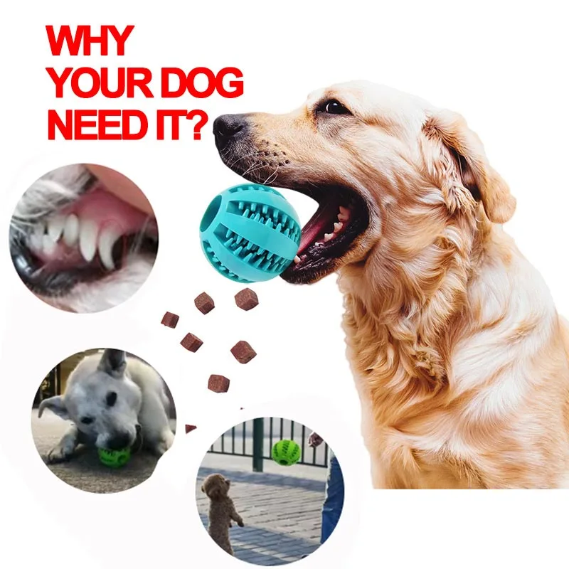 Natural Rubber Pet Dog Toys Dog Chew Toys Tooth Cleaning Treat Ball  Extra-tough Interactive Elasticity Ball5cm for Pet Products - AliExpress